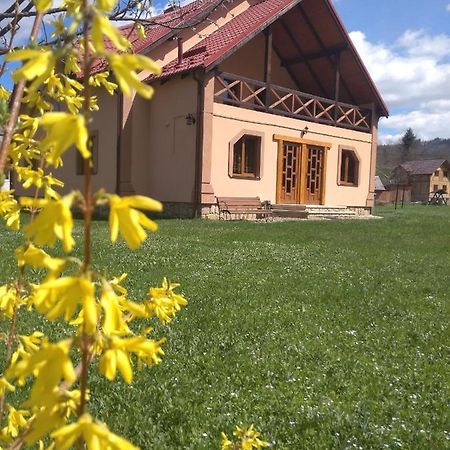 Затишок В Карпатах Villa Yaremche Dış mekan fotoğraf