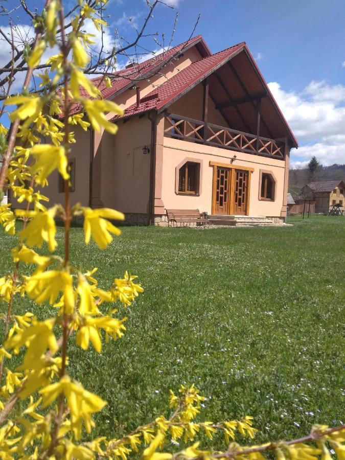 Затишок В Карпатах Villa Yaremche Dış mekan fotoğraf